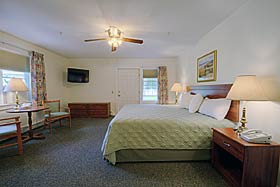 Ground Floor - King Bed